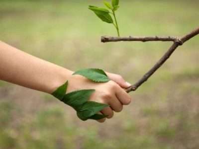 Educação Ambiental – Pós-Graduação