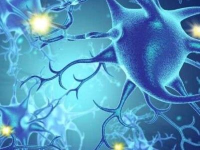 Neurociências – Pós-Graduação