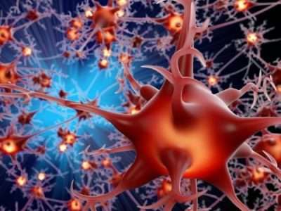 Neuropsicopedagogia – Pós-Graduação