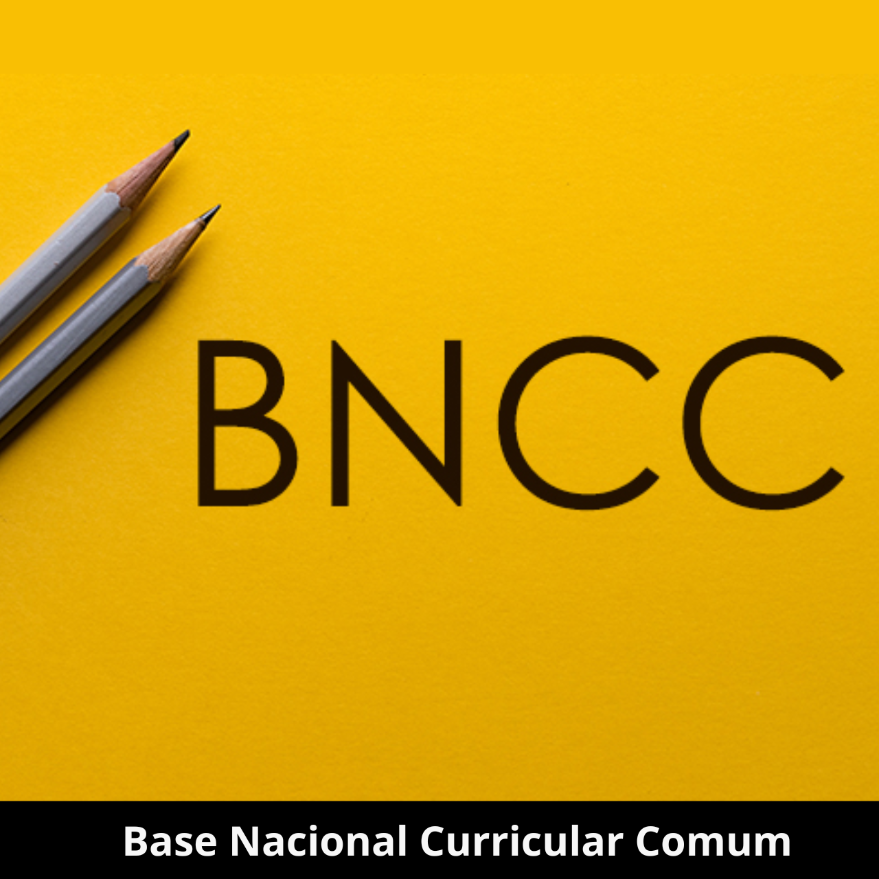 Base Nacional Curricular Comum – BNCC – 450h