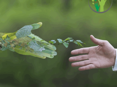 MBA em Gestão Ambiental