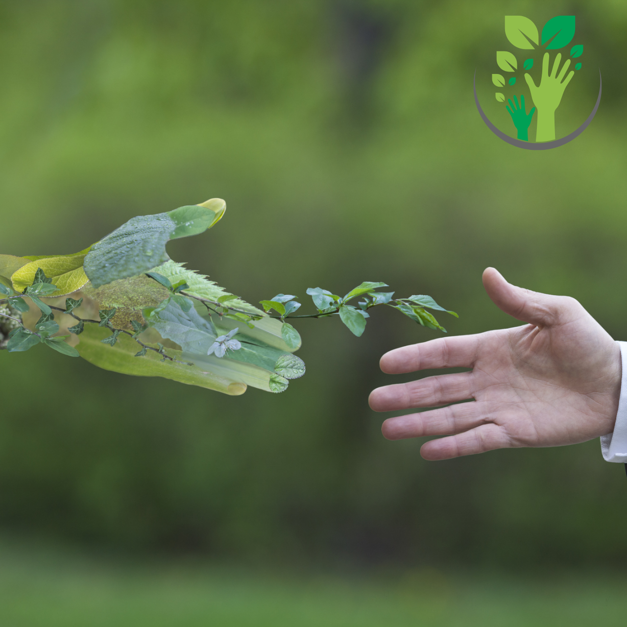 Fabrange – MBA – Gestão Ambiental
