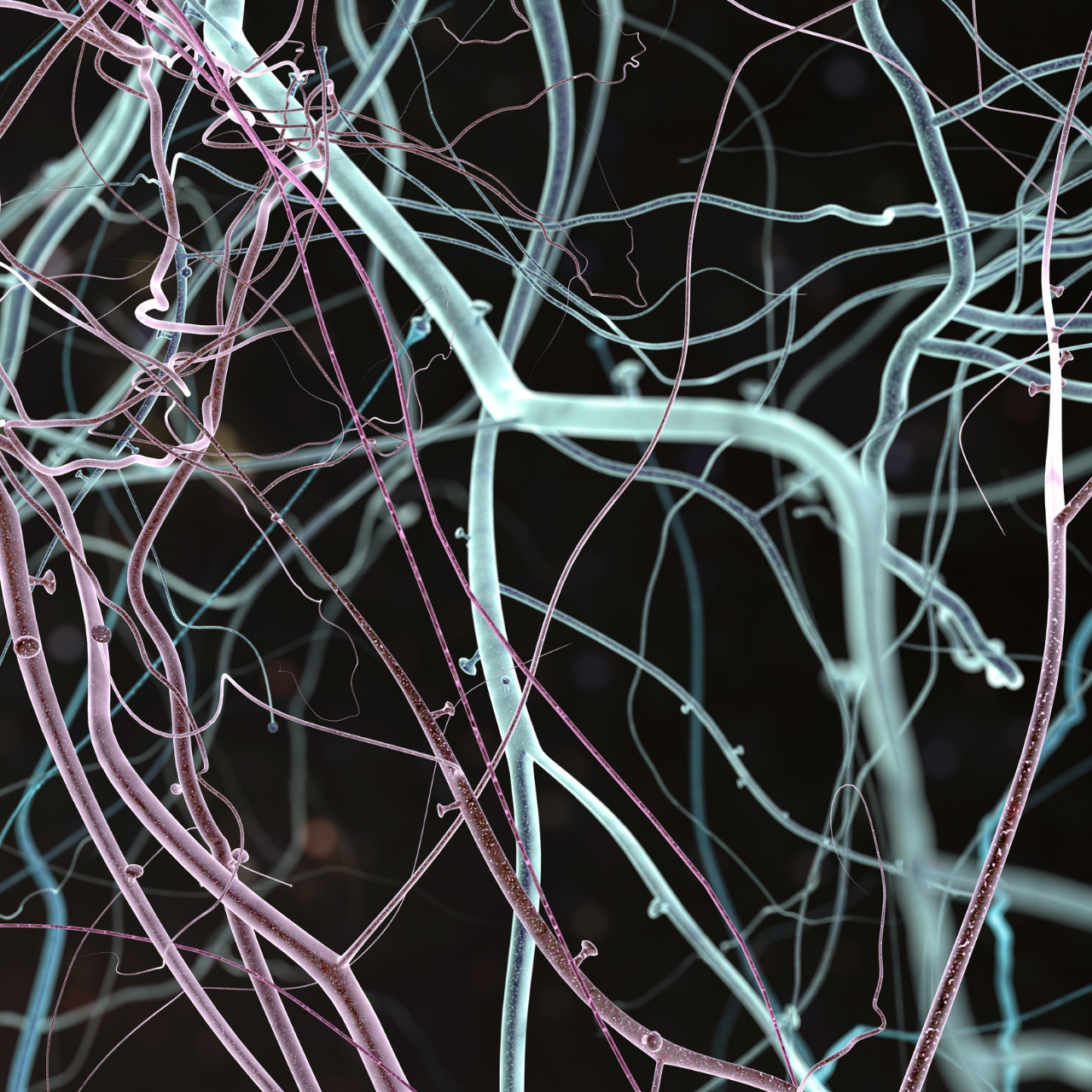 Psicopedagogia com Ênfase em Neuro educação – 450h