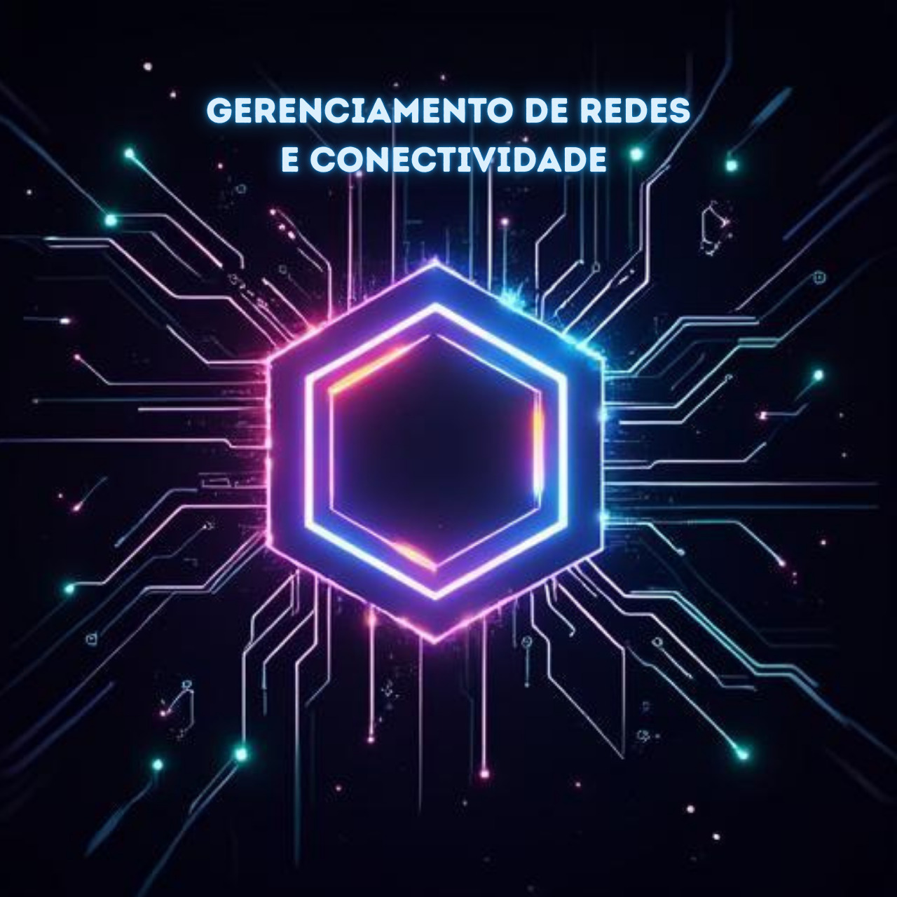 Gerenciamento de Redes e Conectividade